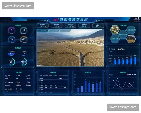 全面实时更新体育数据平台助力赛事分析与决策制定
