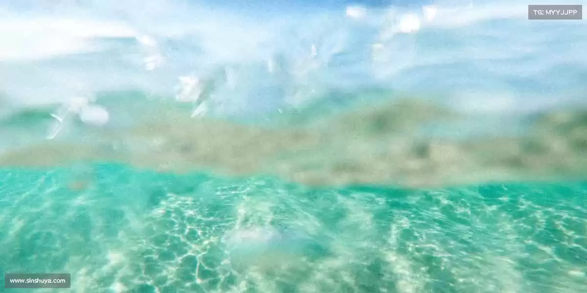 我们的核心竞争力